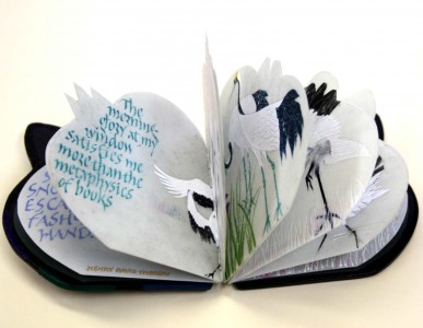 Brisbane Limited Edition Creation