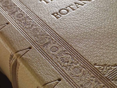Herb Book Brisbane Restoration